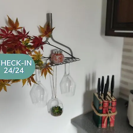 Daire The Artist's Corner *