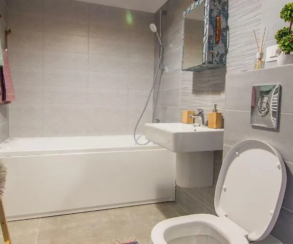 The Artist's Corner Daire Braşov